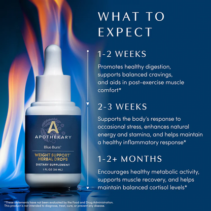 Burn Cycle