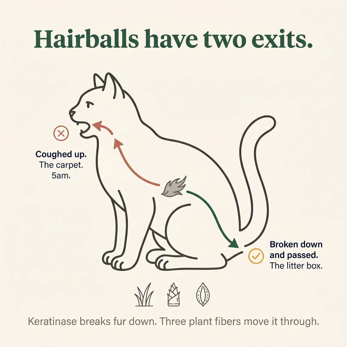 Freeze-Dried Cat Grass Treats for Hairball Relief