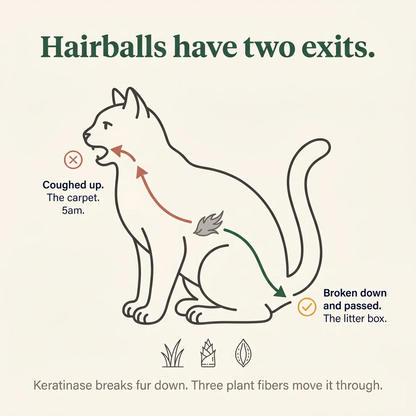 Freeze-Dried Cat Grass Treats for Hairball Relief